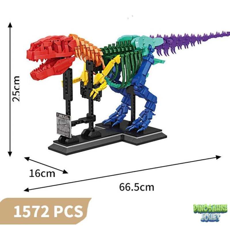 Fossile Dinosaure couleur