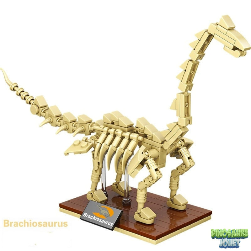 Fossile Lego Dinosaure brachiosaure