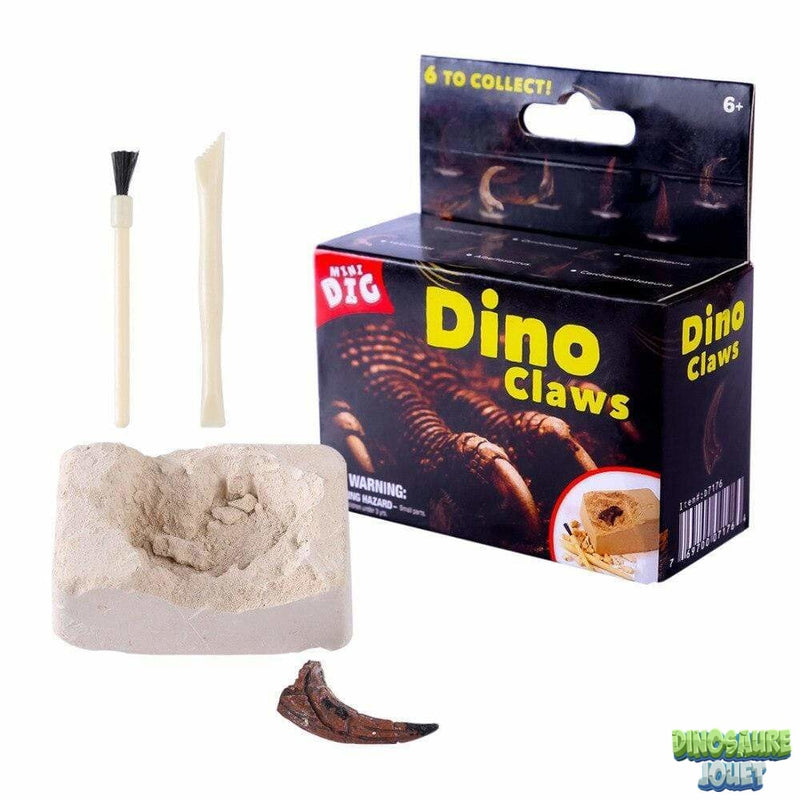 Griffe de dinosaure