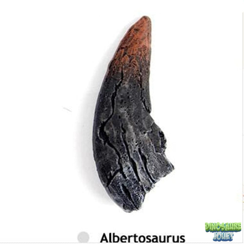Griffe de dinosaure