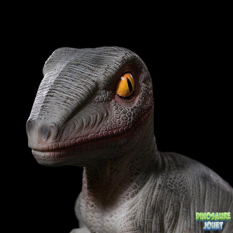 Jouet Dinosaure tirelire Vélociraptor