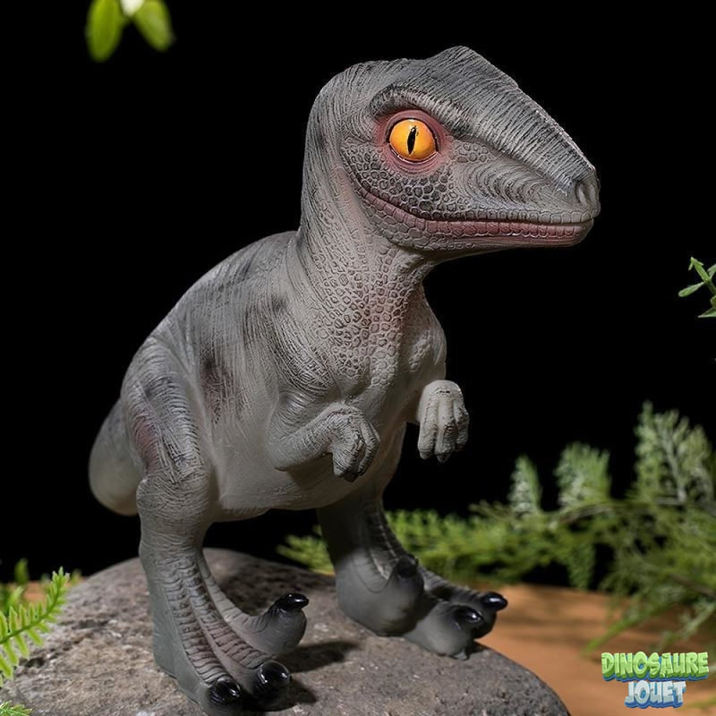 Jouet Dinosaure tirelire Vélociraptor