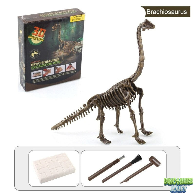 Kit d’excavation Dinosaure brachiosaure