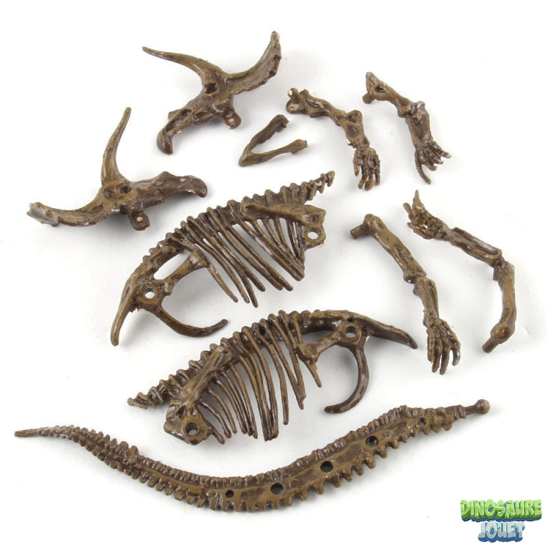 Kit d’excavation Dinosaure triceratops