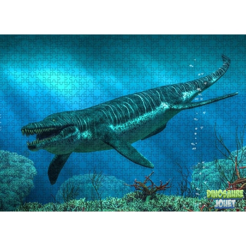 Mosasaurus puzzle