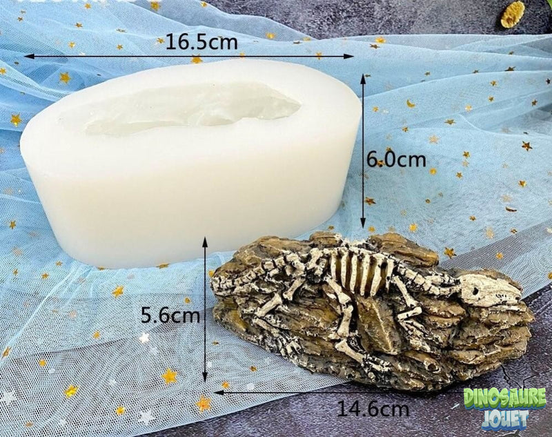 Moule empreinte Dinosaure