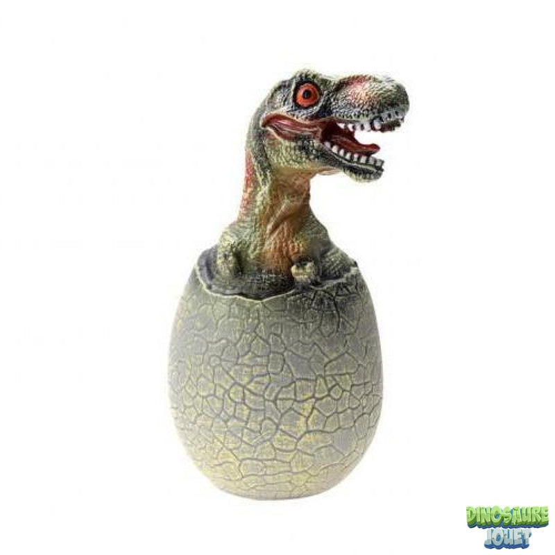 Œuf de dinosaure T-rex