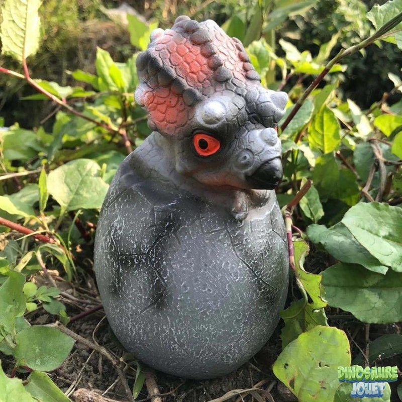 Œuf de dinosaure Triceratops