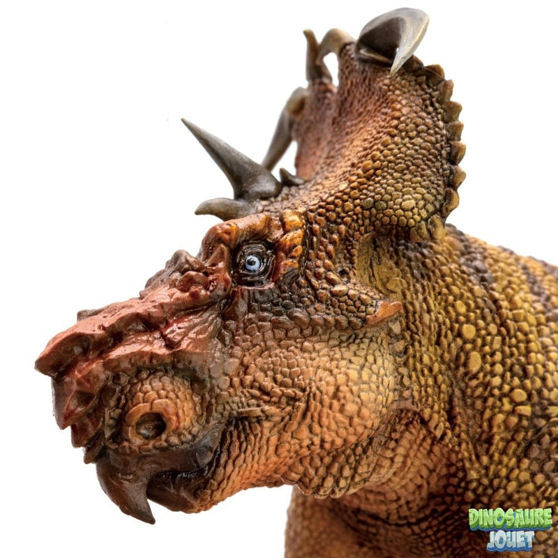 Pachyrhinosaurus figure
