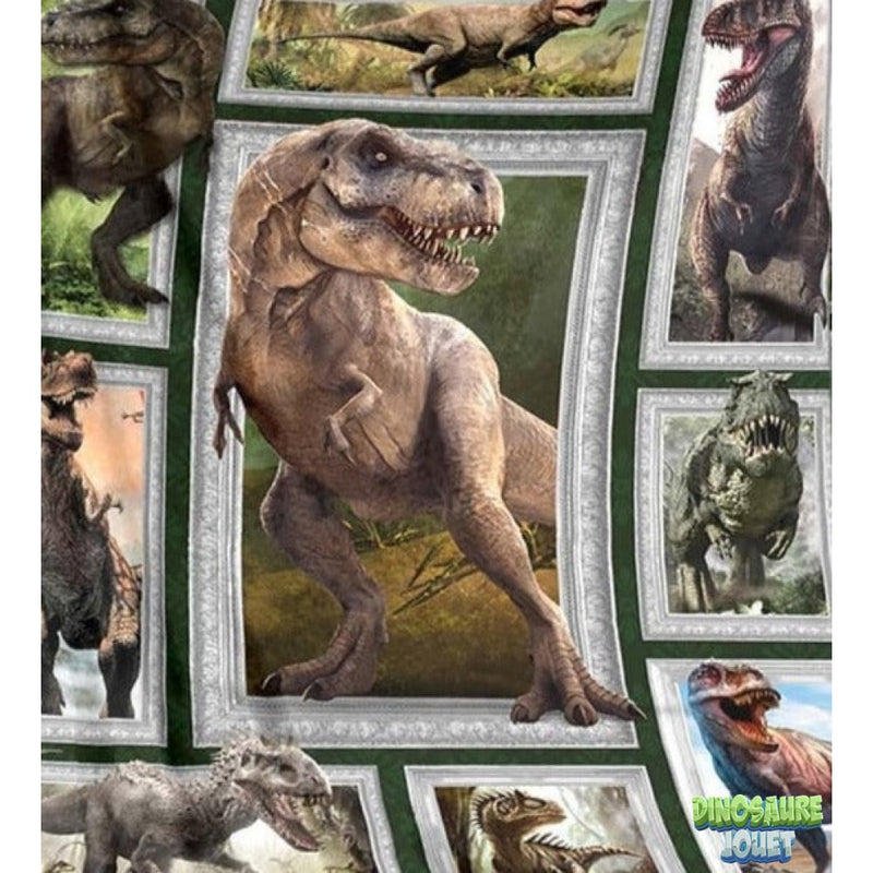 Plaid tout doux Dinosaure