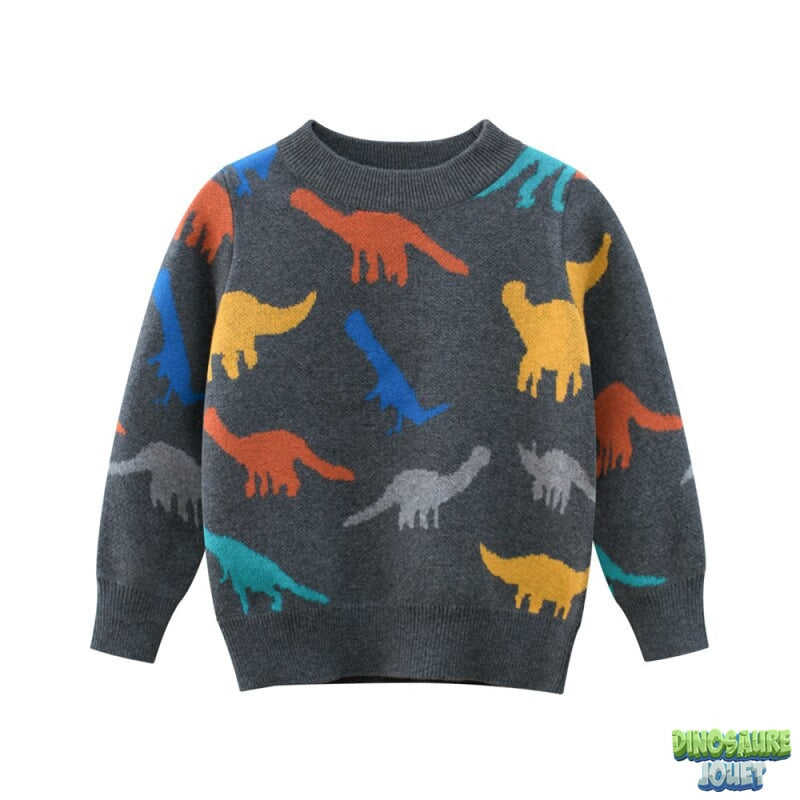 Pull dinosaure 6 ans