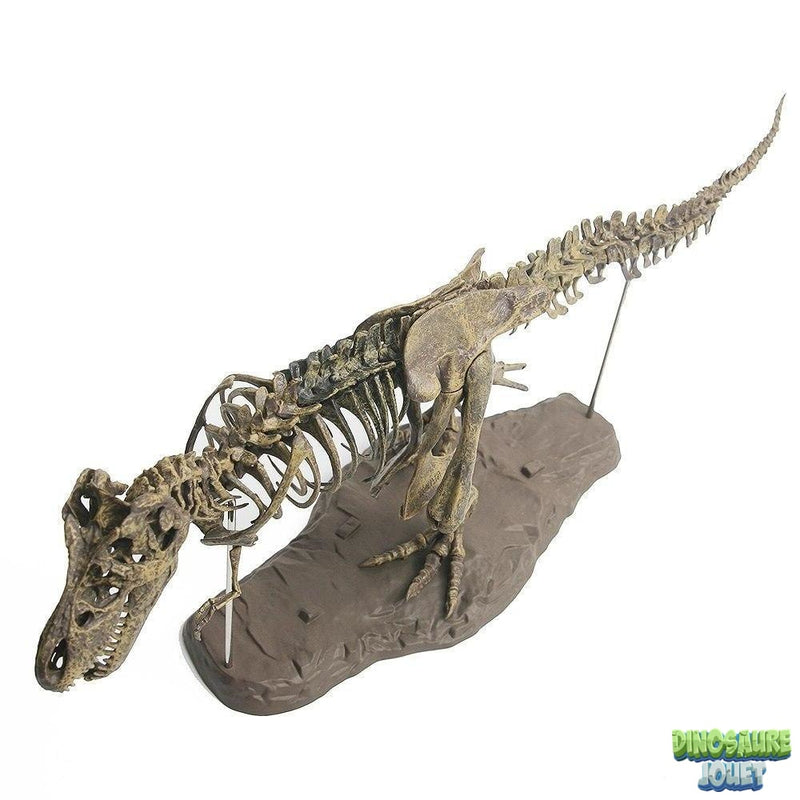 Puzzle squelette Dinosaure T-rex