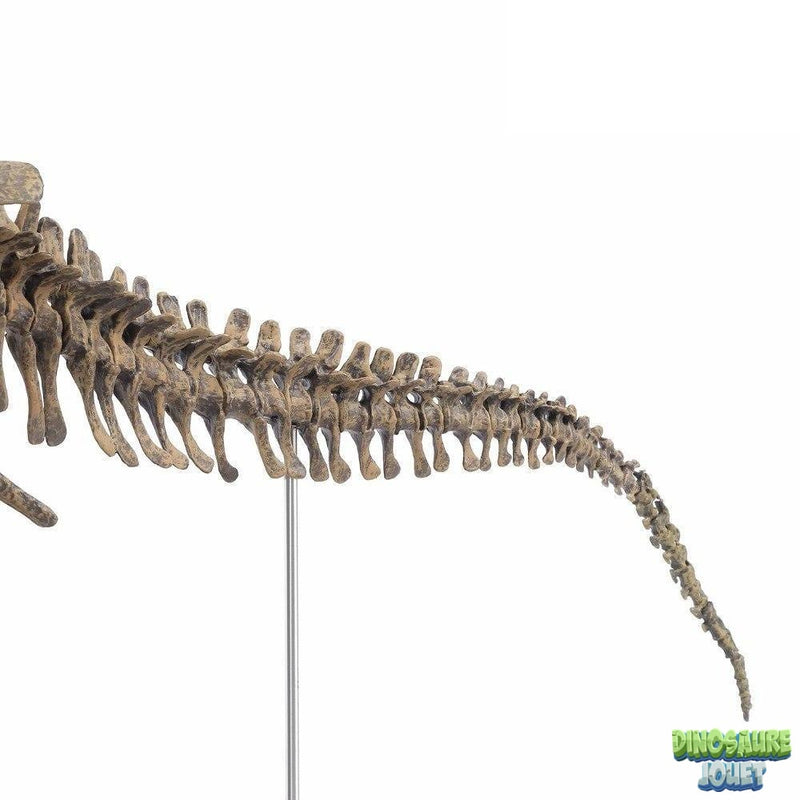Puzzle squelette Dinosaure T-rex