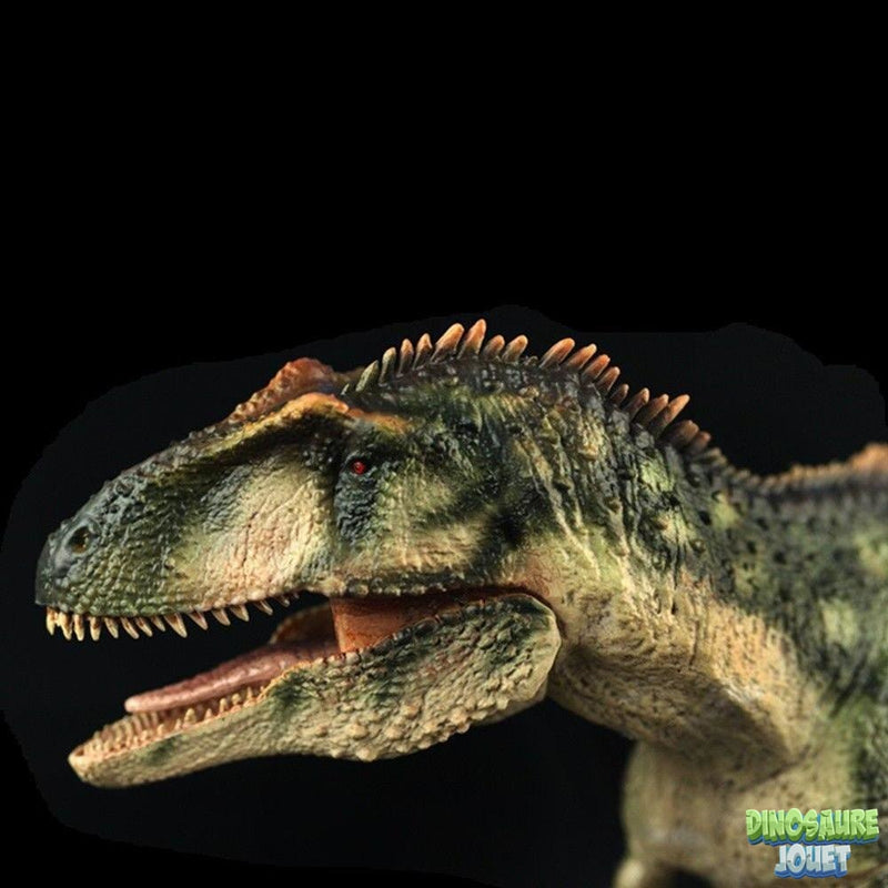 Statue Dinosaure design Giganotosaurus