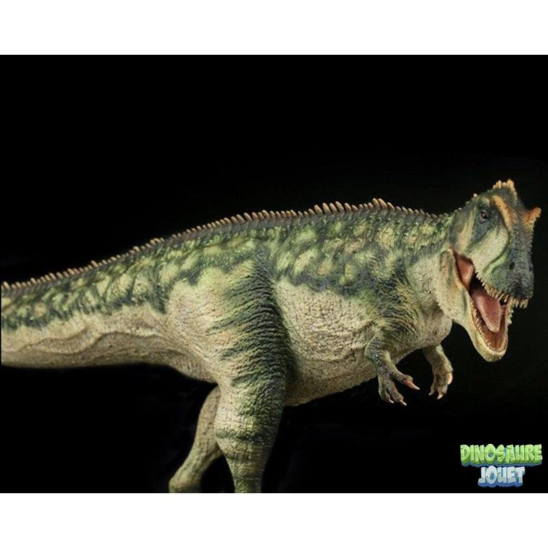 Statue Dinosaure design Giganotosaurus