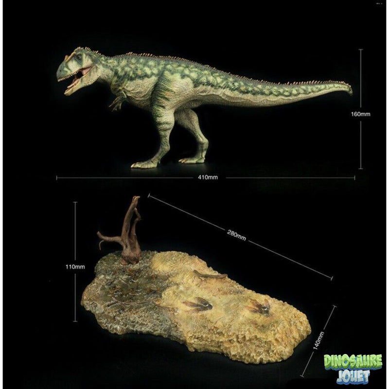 Statue Dinosaure design Giganotosaurus