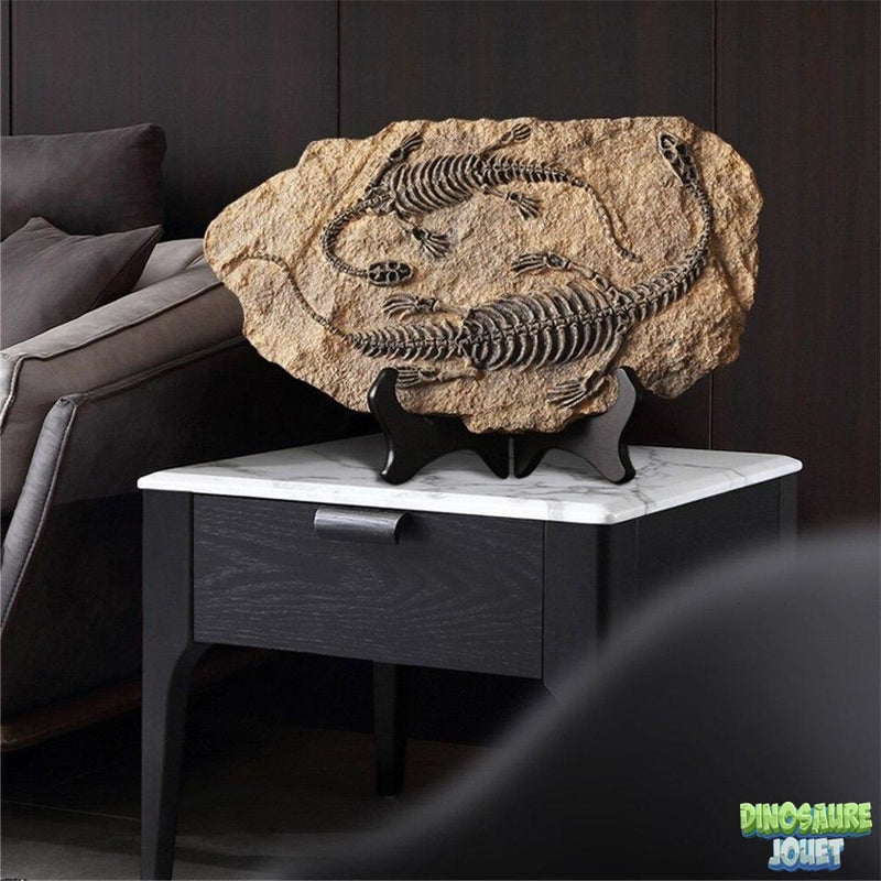 Statue Dinosaure fossile Plésiosaure