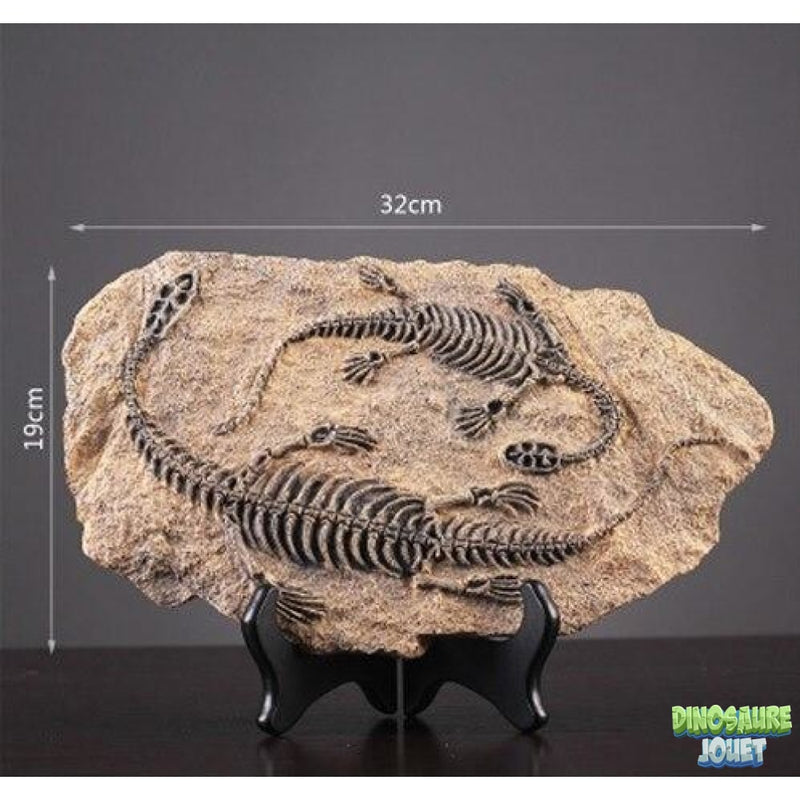 Statue Dinosaure fossile Plésiosaure