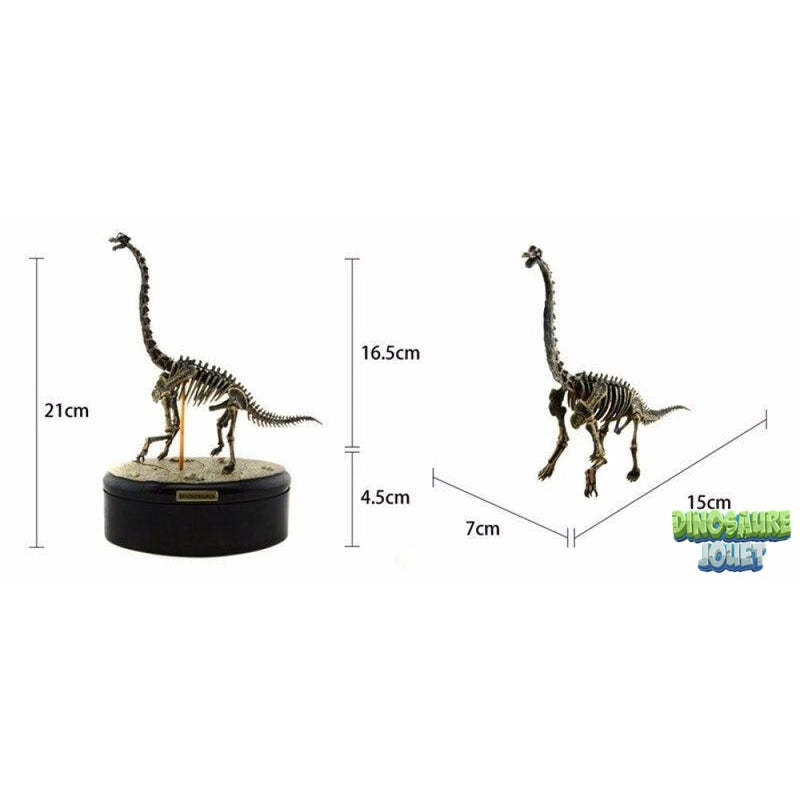 Statue squelette Dinosaure Brachiosaure