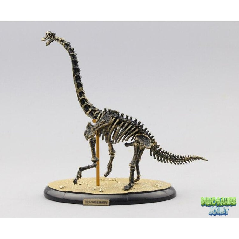 Statue squelette Dinosaure Brachiosaure