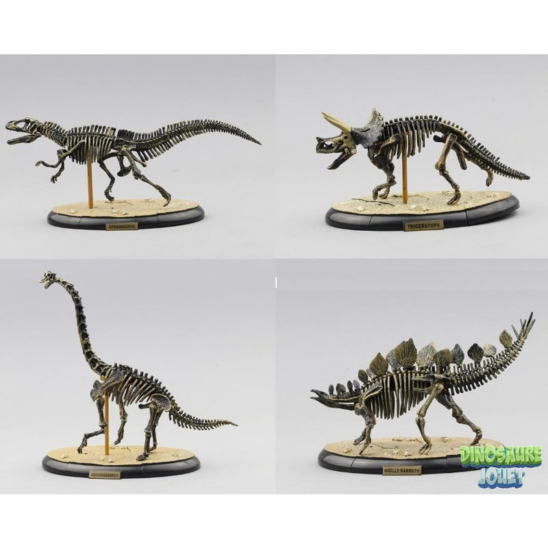 Statue squelette Dinosaure tricératops