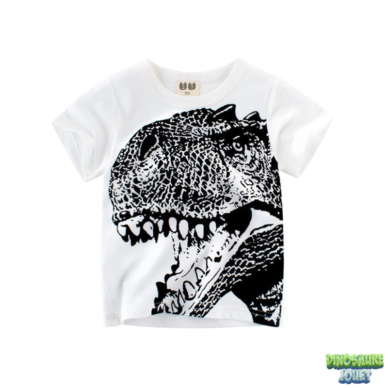 Tee shirt ete Dinosaure