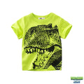 Tee shirt ete Dinosaure