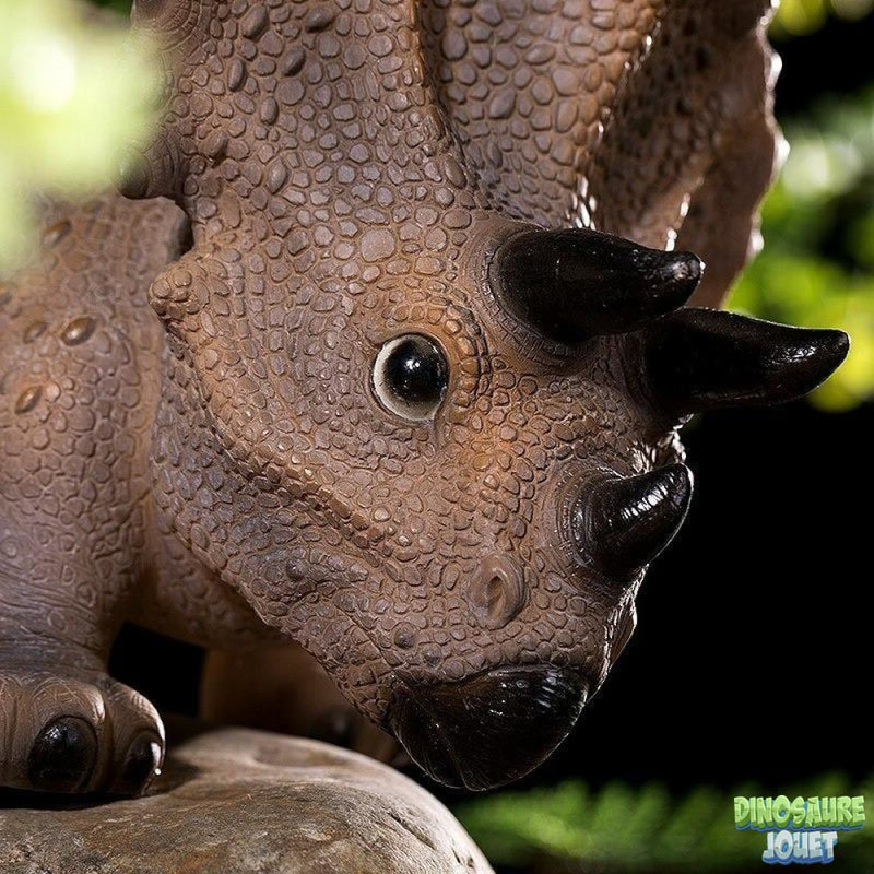 Tirelire Dinosaure Tricératops
