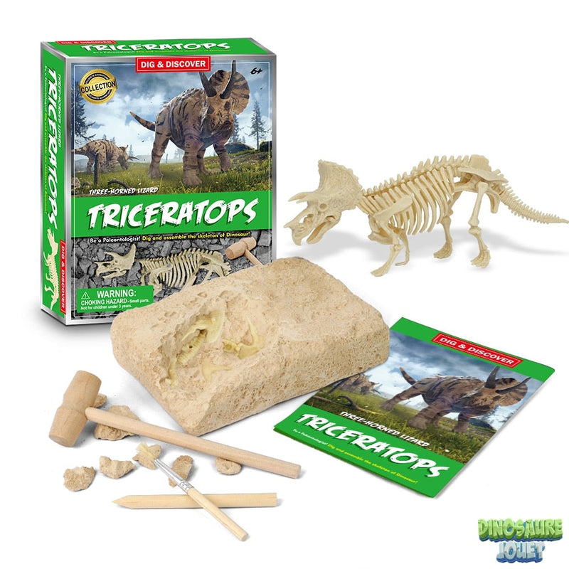 Triceratops excavation kit