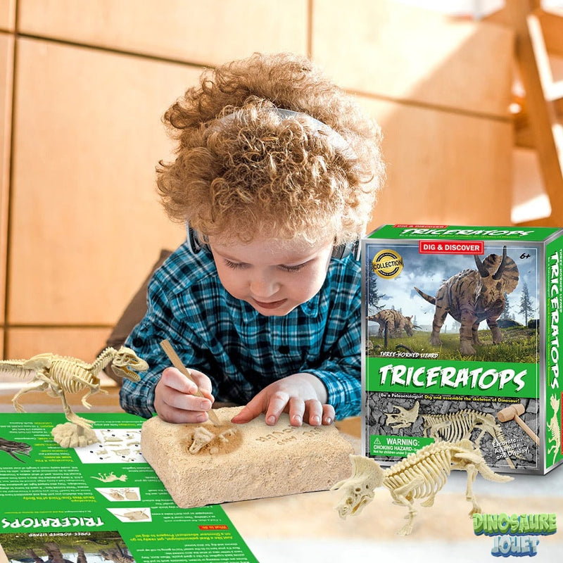 Triceratops excavation kit