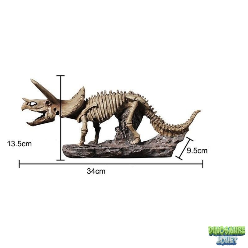 Triceratops statue squelette