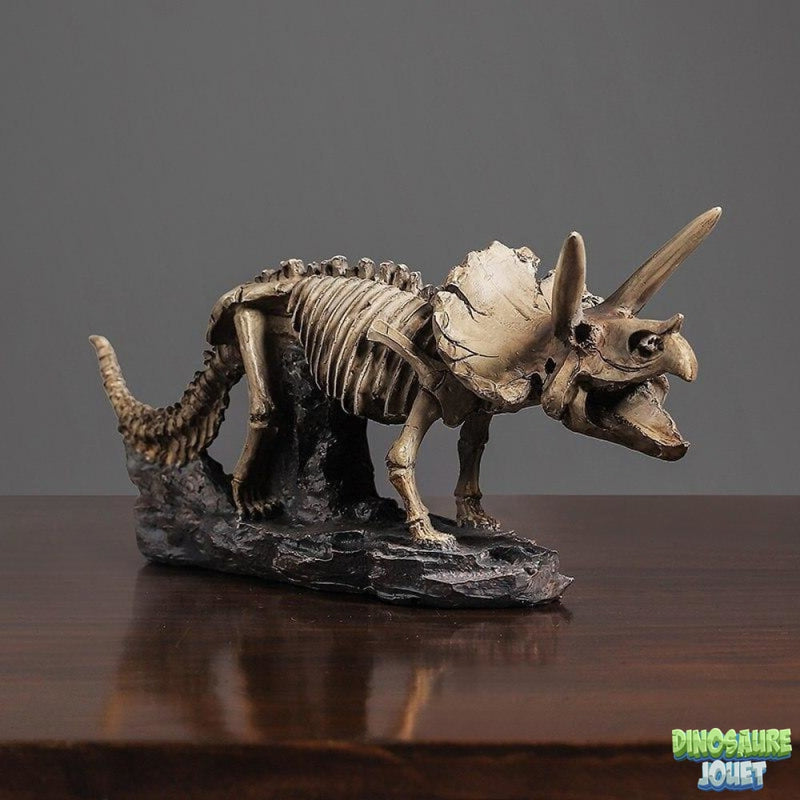 Triceratops statue squelette