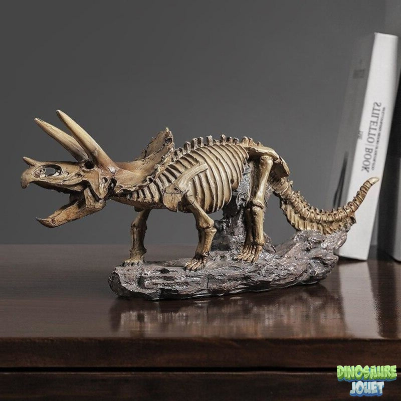 Triceratops statue squelette